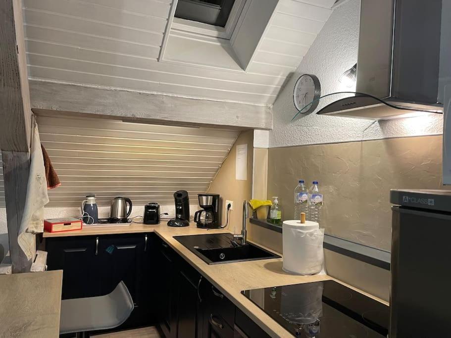 Loft Avec Jardin Apartment Corcieux Luaran gambar